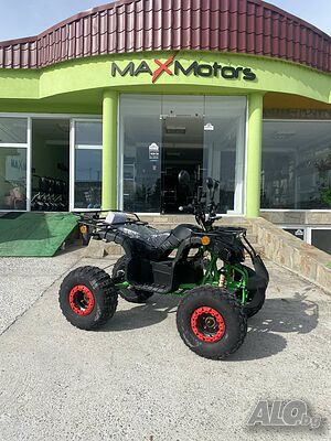 Електрическо ATV Grizzly SPORT PRO 3000-2500W