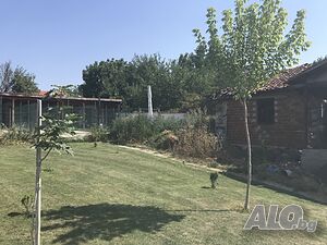 image_9