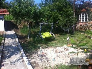 image_6