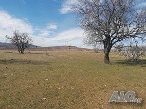 Голям Парцел Подходящ за Фотоволтаици Оранжерии Път Ток Вода