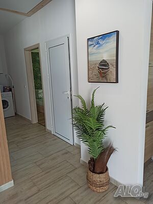 image_11