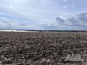 image_7