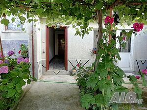 image_11