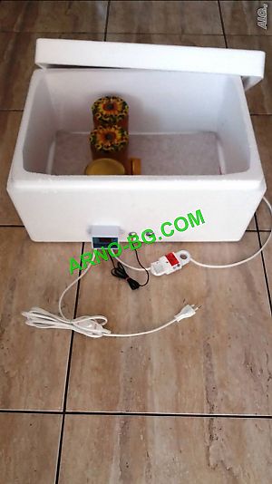 image_4
