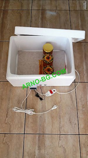 image_5