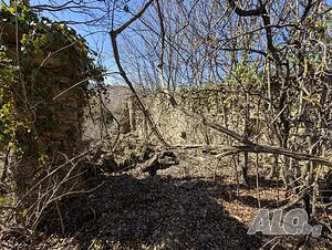 image_13