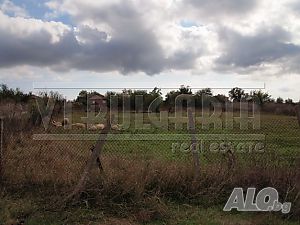 image_10