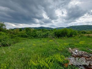 image_7