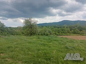 image_10