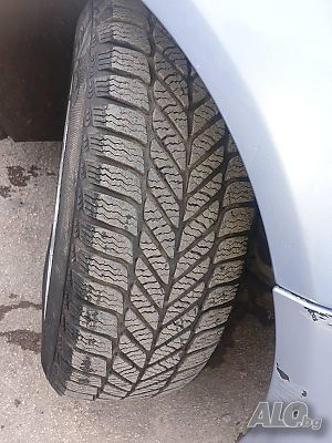 image_8