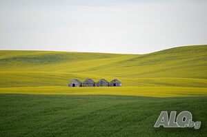 Продавам земеделски земи - ниви