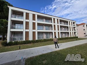 image_11