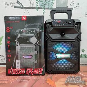 Караоке тонколона, безжична, FM радио, TF карта, USB порт - KTS-1198