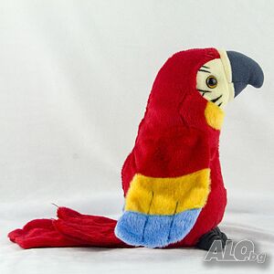 image_2
