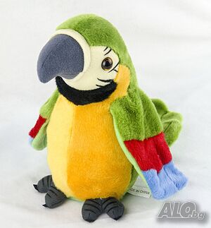 image_3