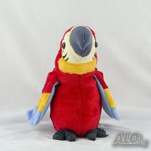 image_4
