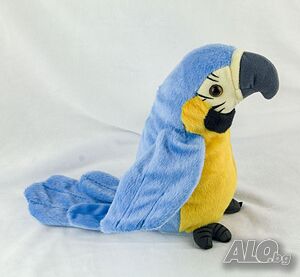 image_5