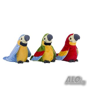 image_6
