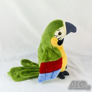 image_7