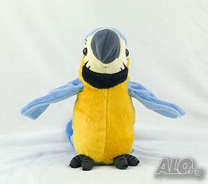 image_8