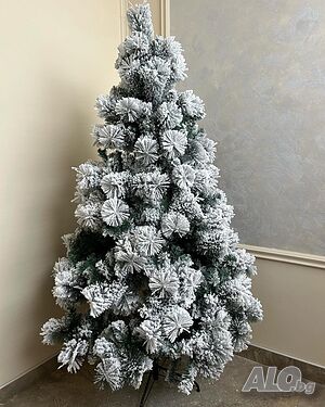 image_3
