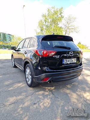 image_7