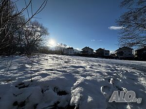 image_8