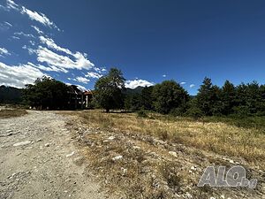image_11