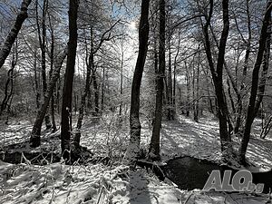image_2