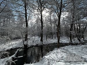 image_6