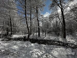 image_9