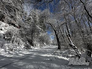 image_10