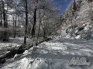 image_12