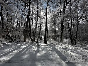 image_13