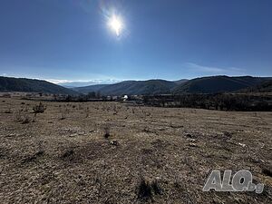 image_7