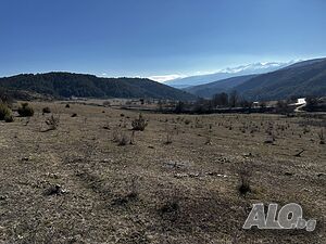 image_10