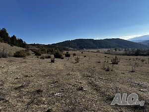 image_11