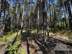 image_7