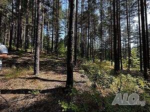 image_8