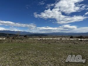 image_11