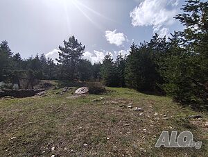 image_10