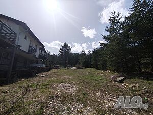 image_11