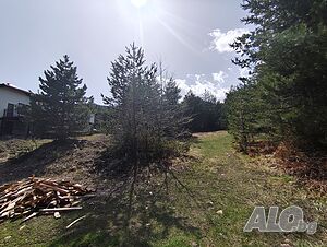 image_12