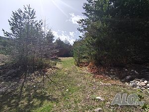 image_13
