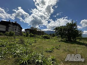 image_7