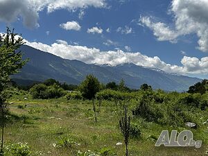 image_8