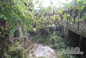 image_8