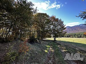 image_7