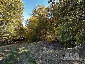 image_9