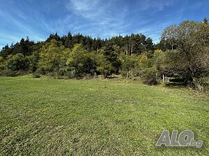 image_4